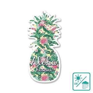 nCA XebJ[ {^jJpCAloha hawaii CG[ ~j An nCAG 킢 pCibv pC  s X[cP[X X}z