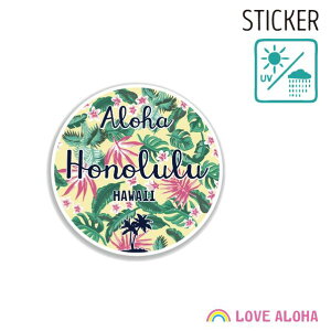 nCAXebJ[ {^jJCG[  ی^ ALOHA nCAG nC CLL zm V   ^u[ s X[cP[X ^ubg 