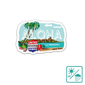 nCAXebJ[ ALOHA CLLiF An nCAG 킢 zm nC r[` C  s X[cP[X X}z ^ubg 