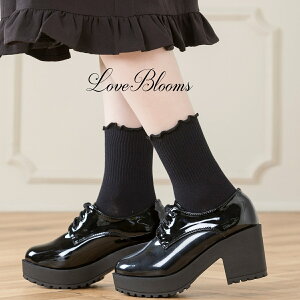 | C fB[X  t \bNX   ubN zCg u n EȂ fB[X C ʎY^ nn C  pvX [t@[ ߂ a݂ Pn SX