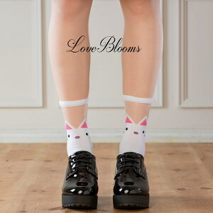 C fB[X   V[X[ ؑ \bNX   ubN zCg { lR    N[  wl fB[X C ʎY^ nn C 킢 [^ 