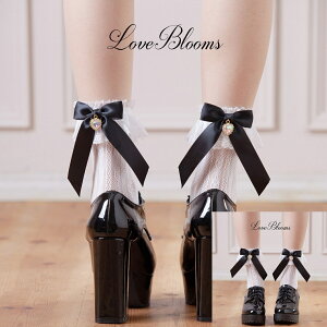 | C fB[X  n[g rW[ { t [X \bNX   ubN zCg n[g V[X[ EȂ fB[X C N[ ʎY^ nn C 