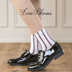 C fB[X  XgCv \bNX AC{[ lCr[ GW { EȂ fB[X C N[ ʎY^ nn C 킢  pvX [t@[ Xj[J[