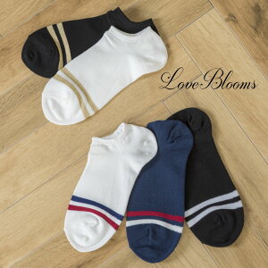 C fB[X  Ԃ\bNX  C \bNX    Ԃ EȂ { fB[X C V Vw ʊw  ʎY^ nn C 킢  pvX 