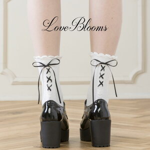 C fB[X  obN [XAbv { \bNX   ubN zCg EȂ fB[X C ʎY^ nn C  pvX [t@[ ߂ a݂ Pn S