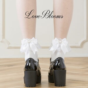 | C fB[X  n[g rW[ Te { t [X \bNX   ubN zCg EȂ fB[X C N[ ʎY^ nn C ߂ a݂