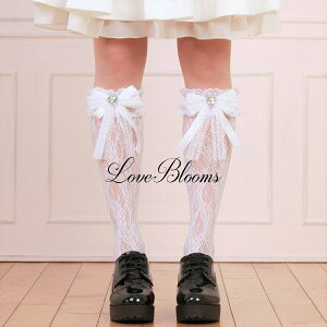 | C fB[X  n[g rW[ { t [X nC\bNX   ubN zCg V[X[ EȂ fB[X C Ђ ʎY^ nn C  a