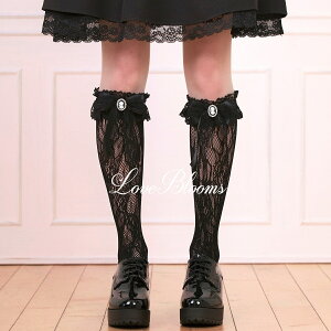 | C fB[X  JI { t [X nC\bNX   ubN zCg V[X[ EȂ fB[X C Ђ ʎY^ nn C 킢 a݂ 