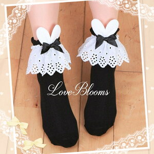 | C fB[X   { t [X \bNX   ubN zCg C EȂ fB[X C ʎY^ nn C  킢 ߂ a݂ Pn