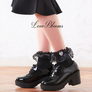 | C fB[X  n[g rW[ { t `[ \bNX   ubN zCg C EȂ fB[X C  ʎY^ nn C  ߂ a