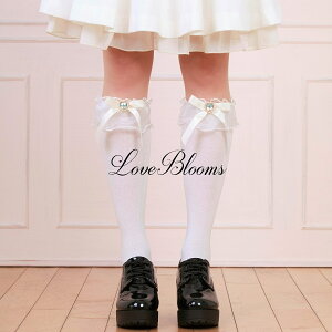 | C fB[X  n[g rW[ { `[ t nC\bNX   ubN zCg C EȂ fB[X C ʎY^ nn C ߂ a݂ P