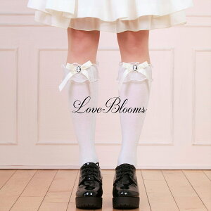 | C fB[X  JI { `[ t nC\bNX   ubN zCg C EȂ fB[X C ʎY^ nn C ߂ a݂ Pn SX