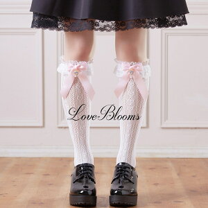 | C fB[X  n[g rW[ { t [X nC\bNX   ubN zCg n[g V[X[ EȂ fB[X C Ђ ʎY^ nn C 