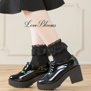 | C fB[X  t [X \bNX   ubN zCg EȂ fB[X C ʎY^ nn C  pvX [t@[ ߂ a݂ Pn SX