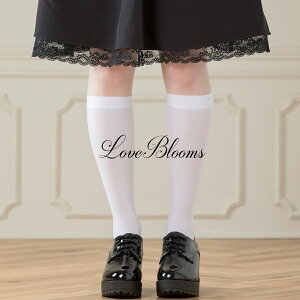 | C fB[X  nC\bNX   ubN zCg n EȂ ̎q fB[X C XgbLO Ђ ʎY^ nn C pvX [t@[ ߂ a