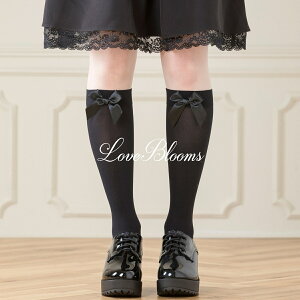 | C fB[X  { nC\bNX   ubN zCg n EȂ ̎q fB[X C XgbLO Ђ ʎY^ nn C pvX [t@[ 