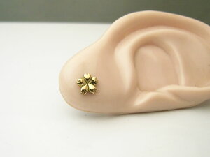 uNtg y18 ԃsAX 1z 18̃Lb`t 18 CG[S[h K18  sAX   nhCh  v[g Mtg Y fB[X (ep