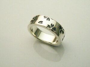 Vo[ANZT[ SAKURA--OpifB[Xj(wr043)  aO w  SAKURA 