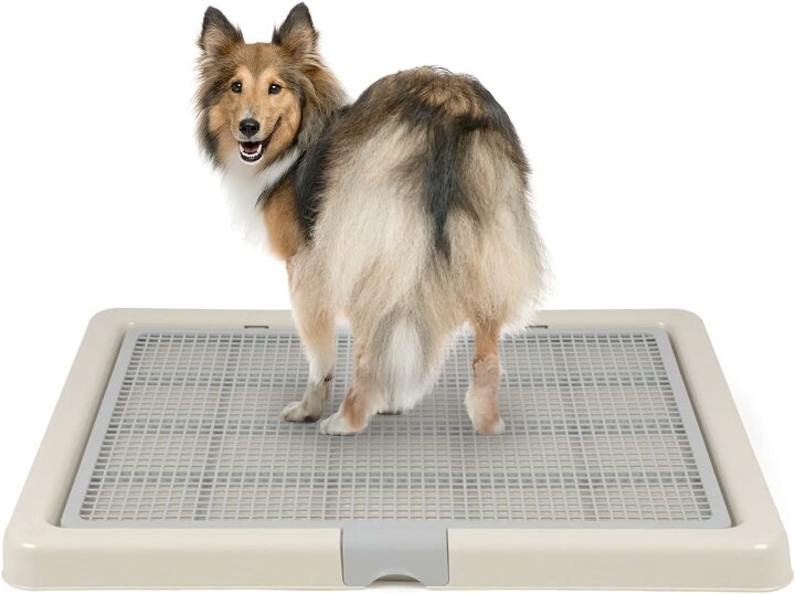 楽天市場】INULABO(イヌラボ) 犬 トイレ トレー 特大 飛び跳ね防止 