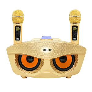yԌ芄z JIP Bluetooth }CN2{ JIP}CN ƒp z[KTV CX}CNVXe 2nhwh}CN q Lіڑ 킢 SDRD