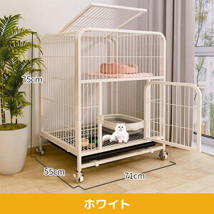 y2000~OFFN[|lIzAORTD L P[W 2i LbgP[W LX^[t |₷  ^L Eh~ 71cm×s54cm×75cm lRnEX i gݑւR RpNg y