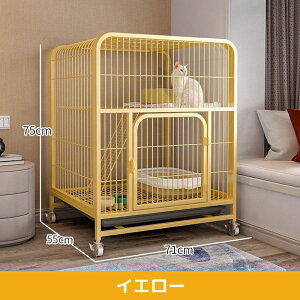 y2000~OFFN[|lIzAORTD L P[W 2i LbgP[W LX^[t |₷  ^L Eh~ 71cm×s54cm×75cm lRnEX i gݑւR RpNg y