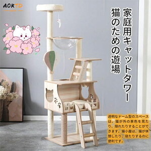 AORTD Lbg^[ u X ؐ ^   ^L FD L^[ Lc[ ؓo^[ Lbgc[ L 157cm ܂Ƃ ^s L lR ^[ Lb