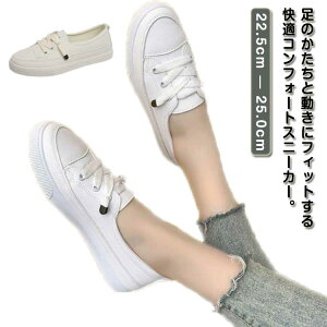 RtH[gV[Y ₷ X|[cV[Y  Xj[J[ C Xb| JWAV[Y  킢 ^C pvX r fB[XC zCg AC{[ 