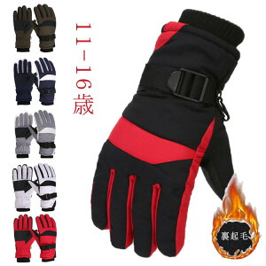 XL[ h LbY  ܖ{w q WjA 12 X}z 14 15 H XL[ Xm[{[hO[u 16 Xm[{[h  O[u N 11 AEghA ^b`Ή h g ۉ 