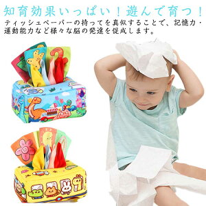 V eBbVP[X wP xr[ eBbVP[X ̎q Fm ʂ 10XJ[tt    J  oB FFm LbY w 