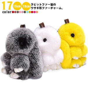 L[`F[ 17F ETM L[z_[ obO`[ t@[`[ obO`[  obO`[ ʂ  t@[`[ e rbg ӂӂ  ANZ