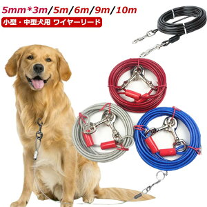 XeX p[h ؂Ȃ[h ^ C[[h ^ [h `[u C[ [h ̎U 10M Kтɂ C[[h hbO[h ^ O[h 5M C