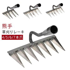 y [L 背[L dŐ 背[L F  pr 蓹 | 4/5/6/7{ Ő K[f[L |[^u F ẙɂ   G G [