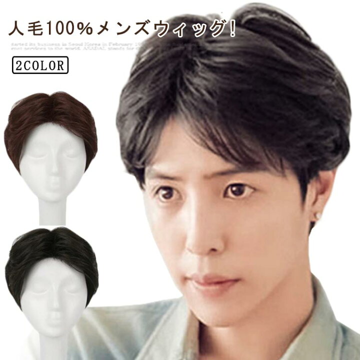 楽天市場】人毛100％ メンズウィッグ 男性用かつら メンズウイッグ 