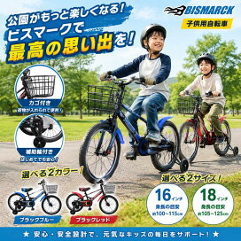 18インチ 身長110〜125cm 子供用自転車 KENT ランページ 男の子 カゴ 