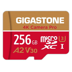 Gigastone �}�C�N��SD�J�[�h 256GB A2 V30 Ultra HD 4K �r�f�I�^�� Gopro �A�N�V�����J���� �X�|�[�c�J���� ����4K�Q�[�� ����m�F�� 100MB/s �}�C�N��SDXC UHS-I U3 Class 10 SD�ϊ��A�_�v�^�t�� Nintendo Switch