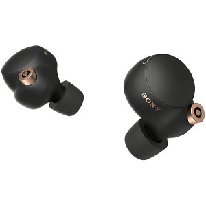 �\�j�[ ���C�����X�m�C�Y�L�����Z�����O�C���z�� WF-1000XM4 : ���S���C�����X/Alexa����/Bluetooth/LDAC�Ή�/�n�C���]���� �ő�8���ԘA���Đ�/�����x�ʘb�i��/IPX4�h�H���\/ ���C�����X�[�d�Ή�/2021�N