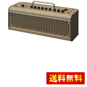}n YAMAHA AR[XeBbNM^[pAv THR30IIA WIRELESS