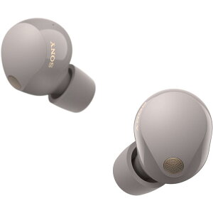 �\�j�[(SONY) ���C�����X�m�C�Y�L�����Z�����O�C���z�� WF-1000XM5 :�yVGP2025���܁z / ���S���C�����X/���|�I�m�C�Y�L�����Z�����O���\/���^�y�ʐ݌v/�����\�}�C�N�ʘb�i��/Alexa����/Bluetooth/LDAC��