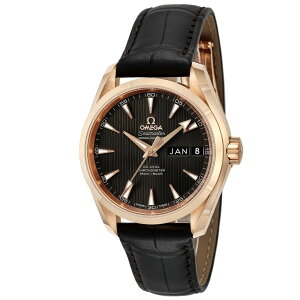IK rv OMEGA Y V[}X^[ANAe 231.53.39.22.06.001