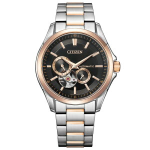 V`Y rv Y V`YRNV CITIZEN NP1014-77E CITIZEN COLLECTION