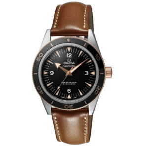 IK V[}X^[300 OMEGA 233.22.41.21.01.002 Y rv