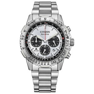 V`Y rv Y v}X^[ CITIZEN CA4660-61A PROMASTER