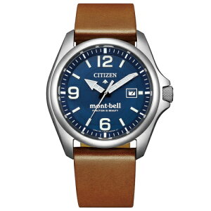 V`Y rv Y v}X^[ PROMASTER BN0247-01L CITIZEN