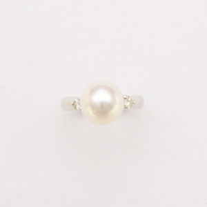 []PT900 ARp[O 11yӕʏtz