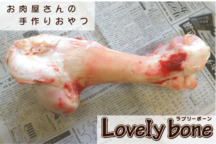 楽天市場 国産 無添加 牛ゲンコツ生骨犬用 1本 約1 5kgから2kg 生骨 牛骨 大型犬にどうぞ 牛の大腿骨をそのまま1本 Lovelybone