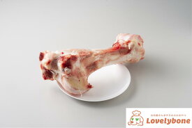★国産・無添加★　牛ゲンコツ生骨［1本］犬おやつ 小型犬 中型犬 大型犬 無添加おやつ 手作りおやつ 肉屋 筋 国産牛 希少部位 牛生骨 高タンパク 低脂肪 犬用おやつ 牛骨 骨おやつ 生骨 デンタルケア デンタル玩具 歯石取り 国産 犬 無添加 手作り ご褒美おやつ