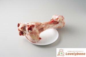 YEY@QRcm1{n ^ ^ ^ Y 肨   Y 󏭕  ^pN ᎉb p    f