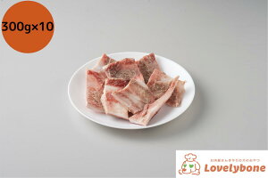 YEYm300g×10pn ^ ^ ^ Y 肨   Y 󏭕  ^pN ᎉb p    f