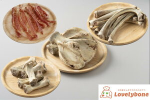 YEY 4_Zbgm؂A؃oA؃QRcA؃zn ^ ^ ^ Y 肨   Y 󏭕 ؓ ^